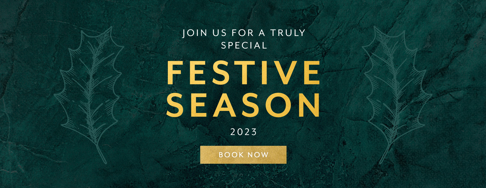 Christmas 2023 at Lower Harlestone